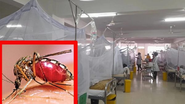 ডেঙ্গু জ্বরে একদিনে সর্বোচ্চ হাসপাতালে ভর্তি রোগী