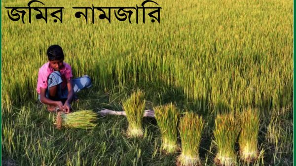 জমির ই-নামজারি শুরু