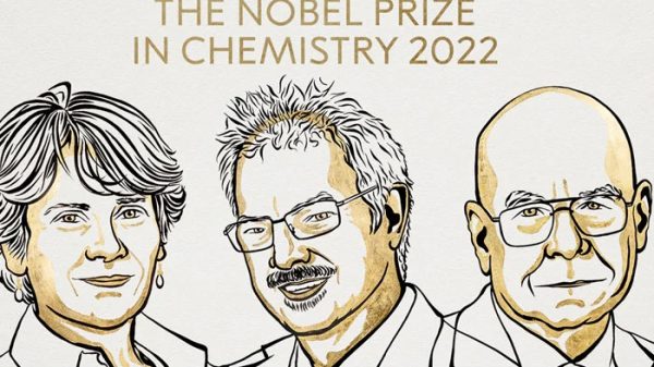 রসায়নে নোবেল পেলেন যুক্তরাষ্ট্র ও ডেনমার্কের ৩ বিজ্ঞানী