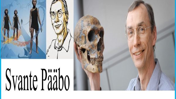 চিকিৎসা বিজ্ঞানে নোবেল পেলেন মানব বিবর্তনের অজানা জ্ঞানে আলো ফেলা জিনতত্ত্ববিদ সভান্তে