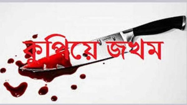 বাবুগঞ্জে যুবদল নেতার স্ত্রীকে কুপিয়ে হত্যা