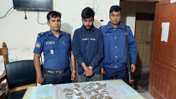 বানারীপাড়ায় মাদক কারবারী গ্রেপ্তার