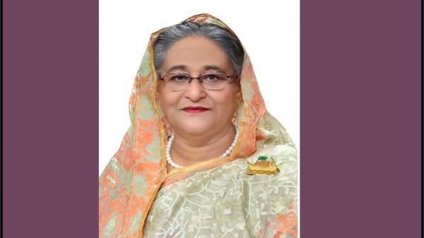 একযোগে ১০০ সেতুর উদ্বোধন করলেন প্রধানমন্ত্রী