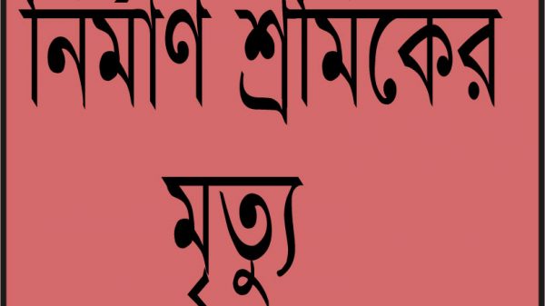 নেছারাবাদে ট্রলার থেকে পড়ে নির্মাণ শ্রমিকের মৃত্যু