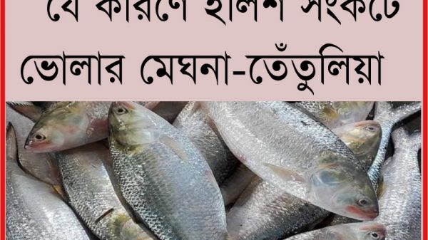 যে কারণে ইলিশ সংকটে ভোলার মেঘনা-তেঁতুলিয়া