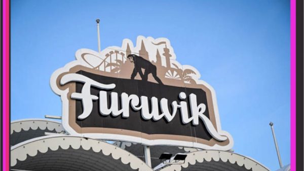 গুলিতে প্রাণ গেল ৩ শিম্পাঞ্জির, সাধারণ মানুষের ক্ষোভ