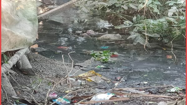 বানারীপাড়া : খাল যেন মশা উৎপাদনের কারখানা