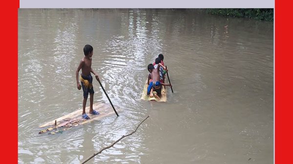 বরগুনা : পানিতে ডুবে ৬ বছরে ১১৬ শিশুর মৃত্যু