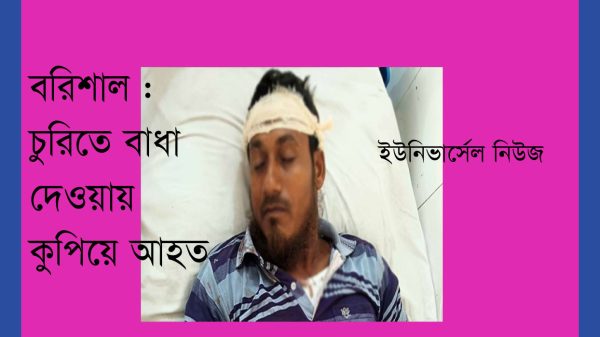 বরিশাল : চুরিতে বাধা দেওয়ায় যুবককে কুপিয়ে আহত