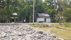 স্বরূপকাঠিতে ভূমি সিন্ডিকেট চক্রের দৌরাত্ম্যে ধ্বংস হচ্ছে ১৪ একর ফসলি জমি!