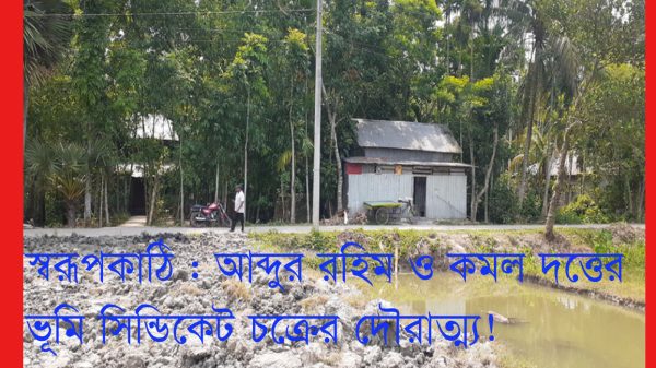 স্বরূপকাঠিতে ভূমি সিন্ডিকেট চক্রের দৌরাত্ম্যে ধ্বংস হচ্ছে ১৪ একর ফসলি জমি!
