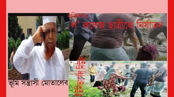 বরিশালে ভূমি সন্ত্রাসী সার্ভেয়ার মোতালেব চক্রের সাঙ্গপাঙ্গ কারা?
