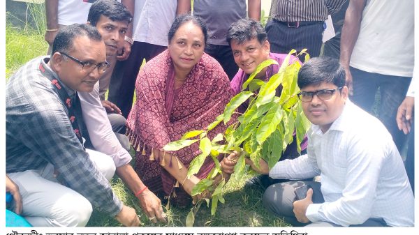 গৌরনদীর মাহিলাড়া ইউনিয়নে পাঁচ হাজার গাছের চারা রোপণ
