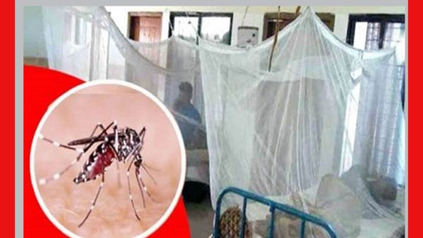 ডেঙ্গু জ্বরে বরিশালে ১৭ জনের মৃত্যু : নতুন আক্রান্ত ২৬৯ জন