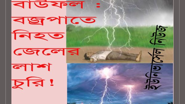 বাউফলে কবর খুঁড়ে বজ্রপাতে নিহত জেলের লাশ চুরি!