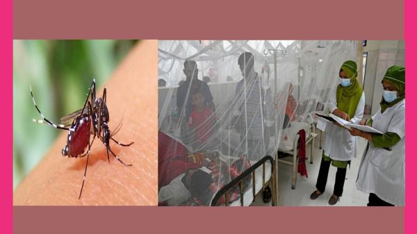 দেশে ডেঙ্গুতে আক্রান্ত ৯৭ হাজারের অধিক