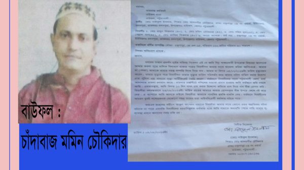 বাউফলে দুই লাখ টাকার রোপিত ধান উপরে ফেলেছে সেই চাঁদাবাজ মমিন চৌকিদার!