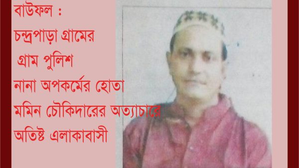 বাউফলে নানা অপকর্মের হোতা কে এই মমিন খান?