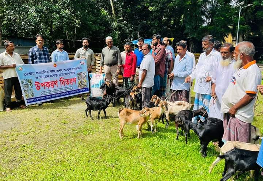 বানারীপাড়ায় উপজেলা মৎস্য বিভাগের উপকরণ এবং সমাজ সেবা কার্যালয়ের হুইল চেয়ার বিতরণ