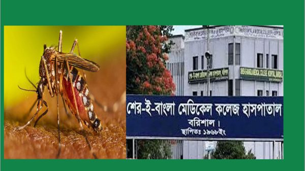 বরিশালে ডেঙ্গু আক্রান্ত : এক মাসে ২৯ জনের মৃত্যু