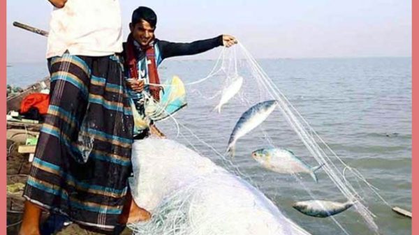 সারাদেশে অক্টোবরে ইলিশ ধরা বন্ধ থাকবে ২২ দিন