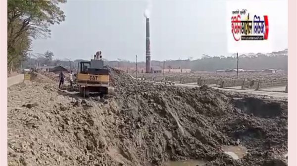 ঝালকাঠিতে সড়ক ঘেঁষে পুকুর কেটে ইটভাটায় মাটি