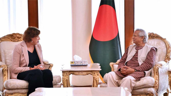 শেখ হাসিনার শাসনামলে দেশের সব প্রতিষ্ঠান ধ্বংস হয়ে গেছে : ড. ইউনূস