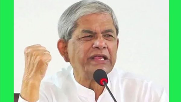 নির্বাচনের দিকে নজর দিন : মির্জা ফখরুল