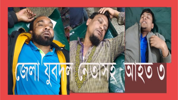 বাকেরগঞ্জে এখনও দাবড়িয়ে বেড়াচ্ছে স্বৈরাচারের দোসররা : সন্ত্রাসী হামলায় যুবদল নেতাসহ আহত ৩
