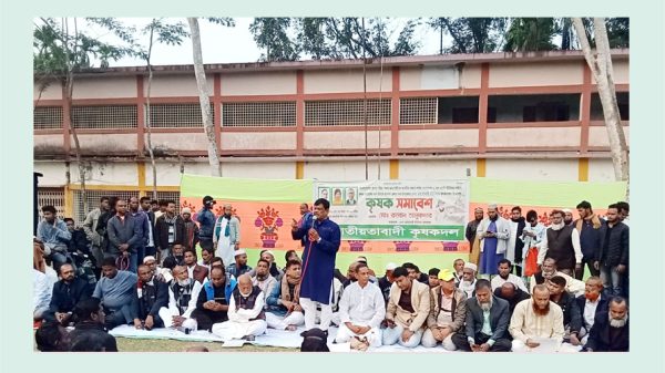 কৃষিক্ষেত্র ধ্বংস করে দিয়েছে স্বৈরাচারী আওয়ামী সরকার : আবু নাসের রহমাতুল্লাহ