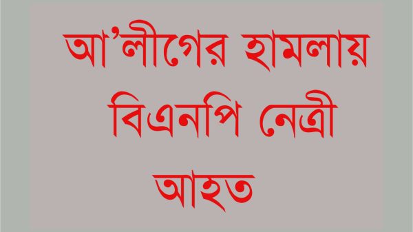 গৌরনদীতে আওয়ামী সমর্থকদের হামলায় বিএনপি নেত্রী আহত