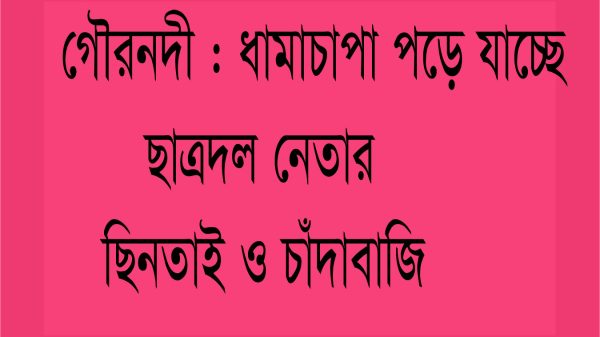 গৌরনদীতে ধামাচাপা পড়ে যাচ্ছে ছাত্রদল নেতার ছিনতাই ও চাঁদাবাজির ঘটনা