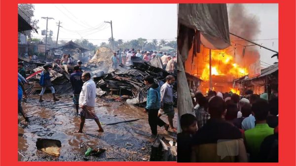 নেছারাবাদ মিয়ারহাট বন্দরে আগুন পুড়লো ৪০টি দোকান