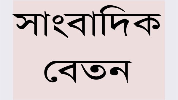 সাংবাদিকের বেতন বিসিএস ক্যাডারের সমান করার সুপারিশ